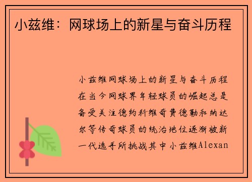 小兹维：网球场上的新星与奋斗历程